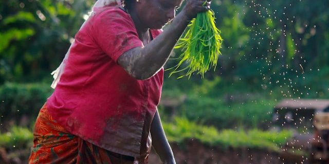 nandhu-kumar-5NGTf4oD8RA-unsplash nandhu-kumar-5NGTf4oD8RA-unsplash